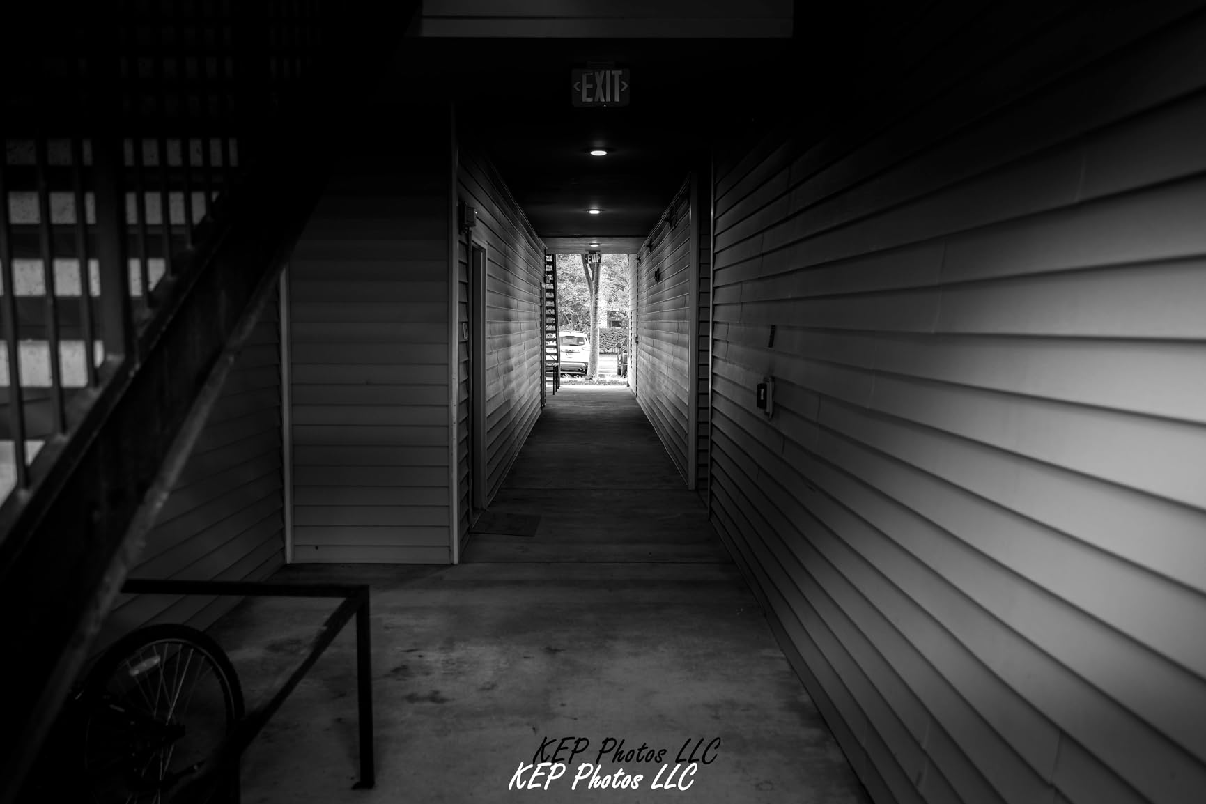 Nikon NIKKOR Z 28-75mm f/2.8 | Large aperture mid-range zoom lens for Z series mirrorless cameras | Nikon USA Model - Customer Photo 1