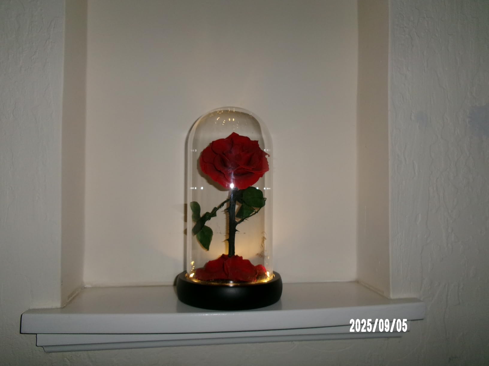 KODAK PIXPRO FZ55-RD 16MP Digital Camera 5X Optical Zoom 28mm Wide Angle 1080P Full HD Video 2.7