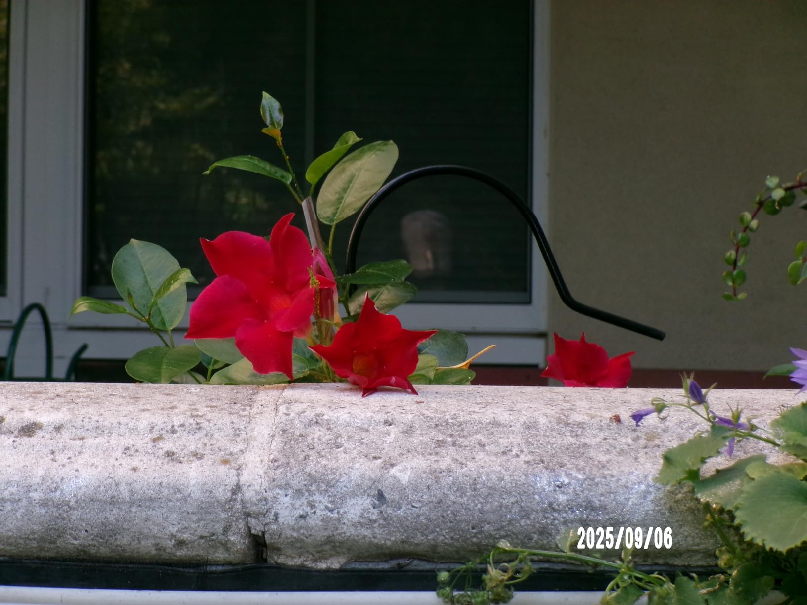 KODAK PIXPRO FZ55-BL 16MP Digital Camera 5X Optical Zoom 28mm Wide Angle 1080P Full HD Video Li-Ion Battery 2.7