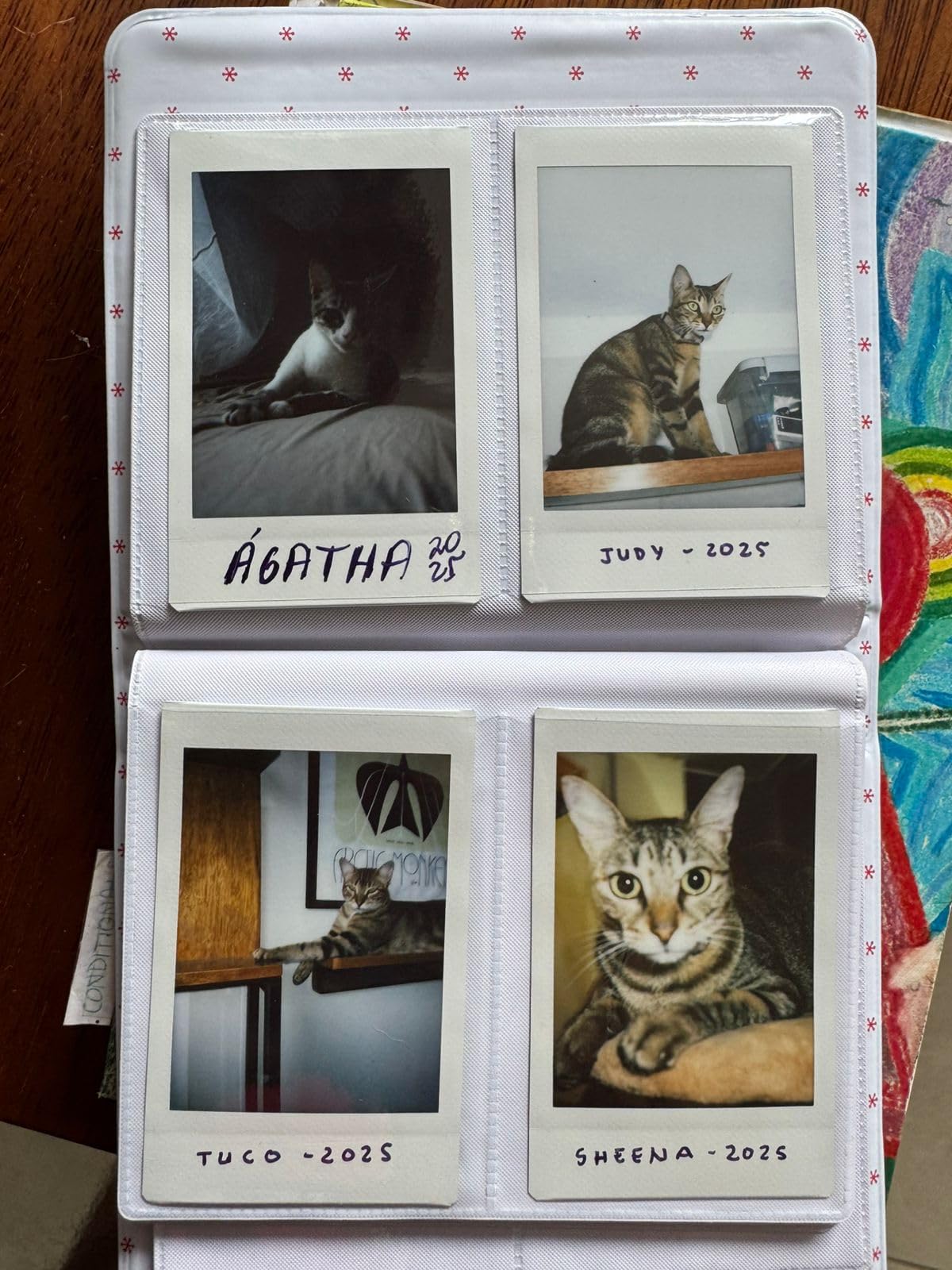 Fujifilm Instax Mini 41 Instant Camera Vintage Black with Fujifilm Value Pack (40 Sheets) + Shutter Accessories Bundle customer photo 1