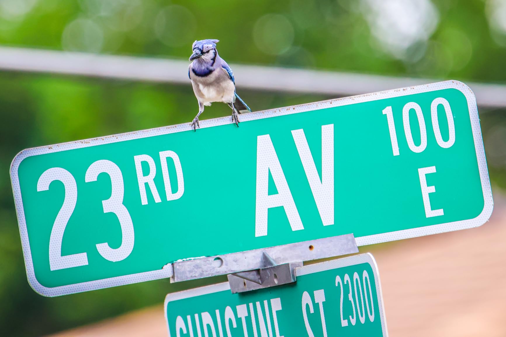 Canon EOS R7 Mirrorless Camera (Body Only), Hybrid Camera, 32.5 Megapixel (APS-C) CMOS Sensor, 4K Video, for Sports, Action, Content Creators, Vlogging Camera, Black - Customer Photo 2