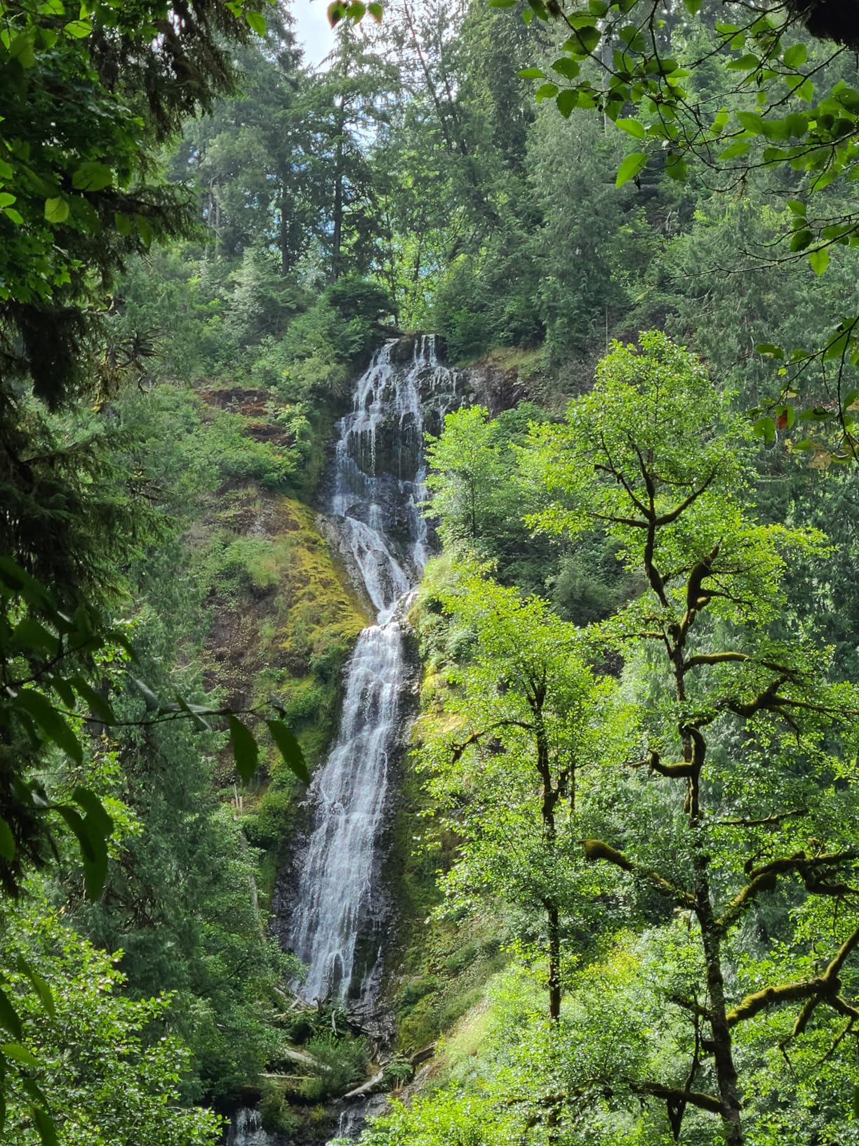 Nikon Z 30 | Our most compact, lightweight mirrorless stills/video camera | Nikon USA Model Customer Review Nikon Z 30 | Our most compact, lightweight mirrorless stills/video camera | Nikon USA Model - Customer Photo 2