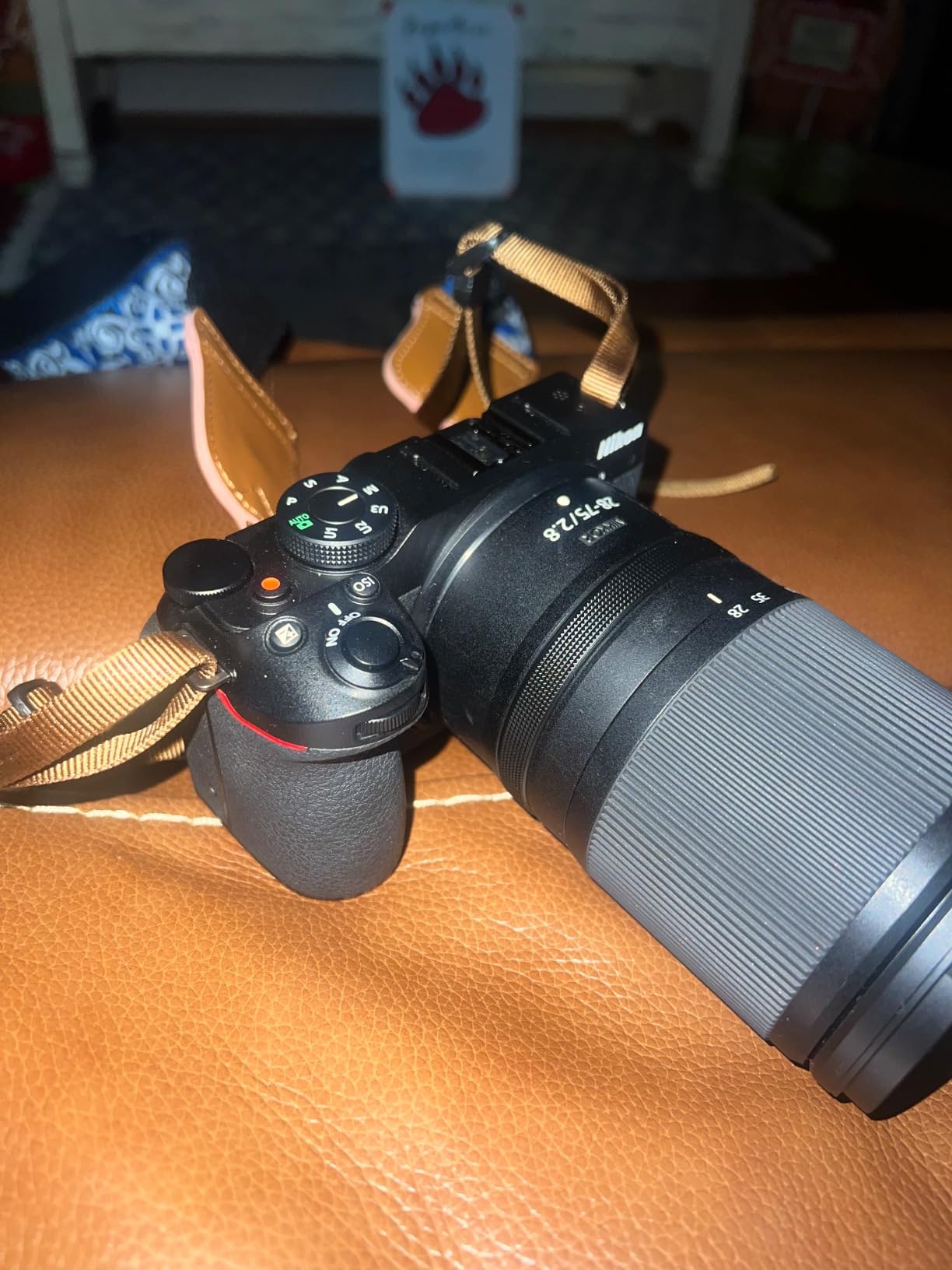 Nikon Z30 Mirrorless Digital Camera with 16-50mm Lens (1749) Bundle with 64GB Extreme PRO Card + EN-EL25 Extra Battery + Corel Photo Software + Camera Bag + Cleaning Kit + More - Customer Photo 2