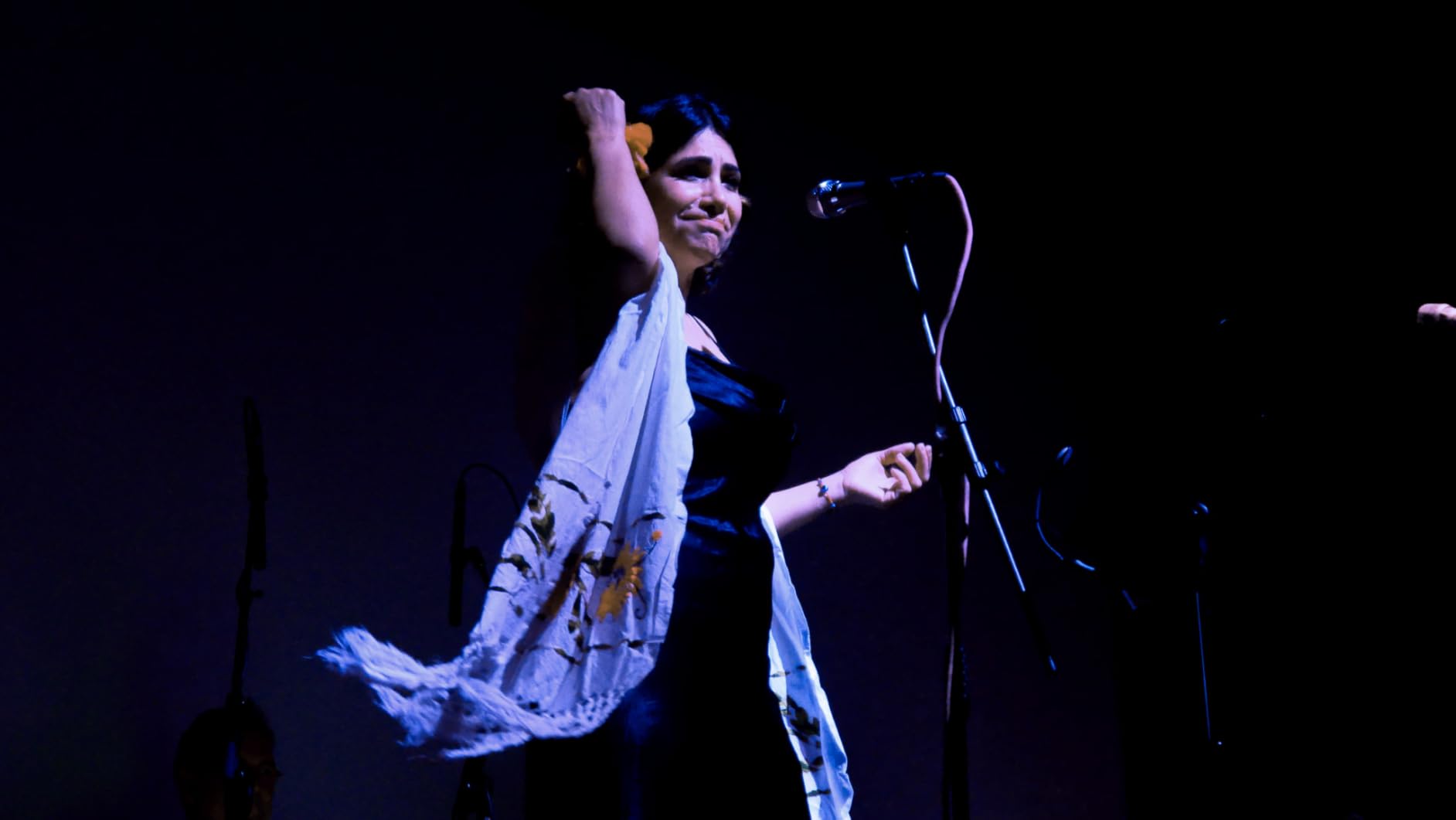 Panasonic LUMIX G95D 20.3 Megapixel Mirrorless Camera, 12-60mm F3.5-5.6 Micro Four Thirds Lens, 5-Axis Dual I.S. 2, 4K 24p 30p Video, Pre-Installed V-Log L, 3