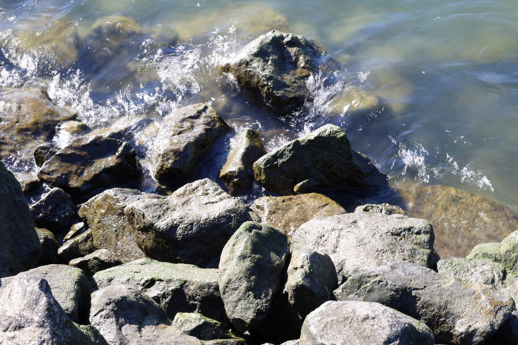 Canon EOS R6 Mark II Mirrorless Camera RF24-105mm F4-7.1 is STM Lens Kit, Full-Frame Hybrid Camera, 24.2 Megapixel CMOS Sensor, Photo and Video Capabilities, Black - Customer Photo 1