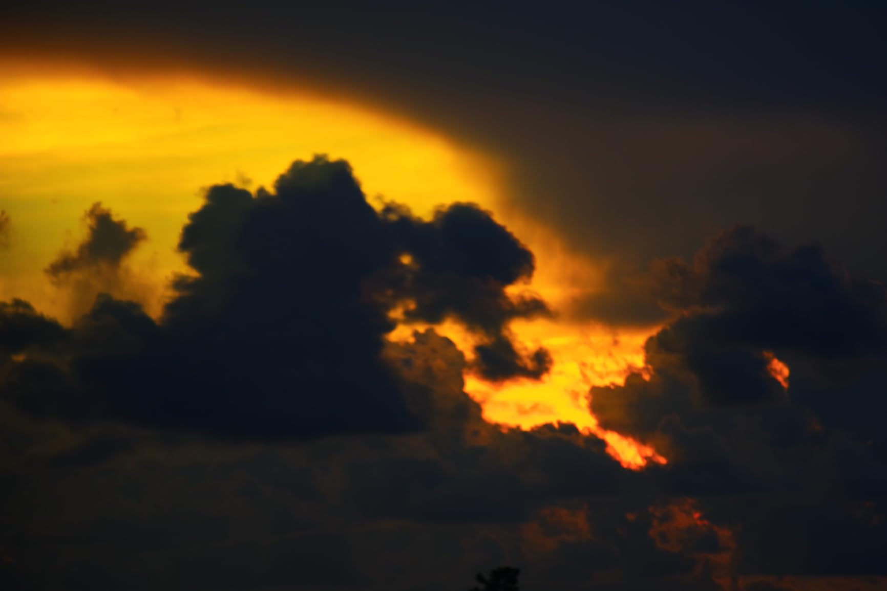 PENTAX KF APS-C Digital SLR Camera 18-55 WR kit with Dustproof, Weather-Resistant and Vari-Angle LCD Monitor, Black customer photo 1