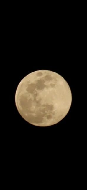 Canon RF-S55-210mm F5-7.1 is STM for Canon APS-C Mirrorless RF Mount Cameras, Telephoto Zoom, Compact, Lightweight, Optical Image Stabilization - Customer Photo 2