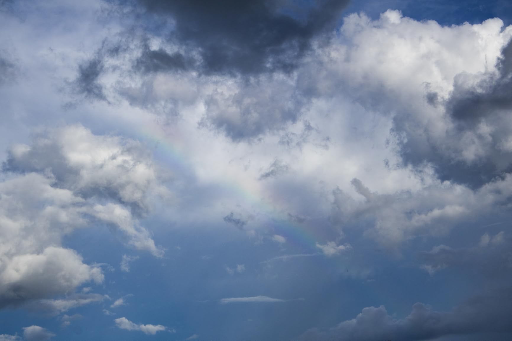 Canon EOS R50 Mirrorless Camera with RF-S18-45mm F4.5-6.3 is STM & RF-S55-210mm F5-7.1 is STM Lenses, 24.2 Megapixel CMOS (APS-C) Sensor, 4K Video, Content Creator Vlogging Camera, RF Mount, Black - Customer Photo 2