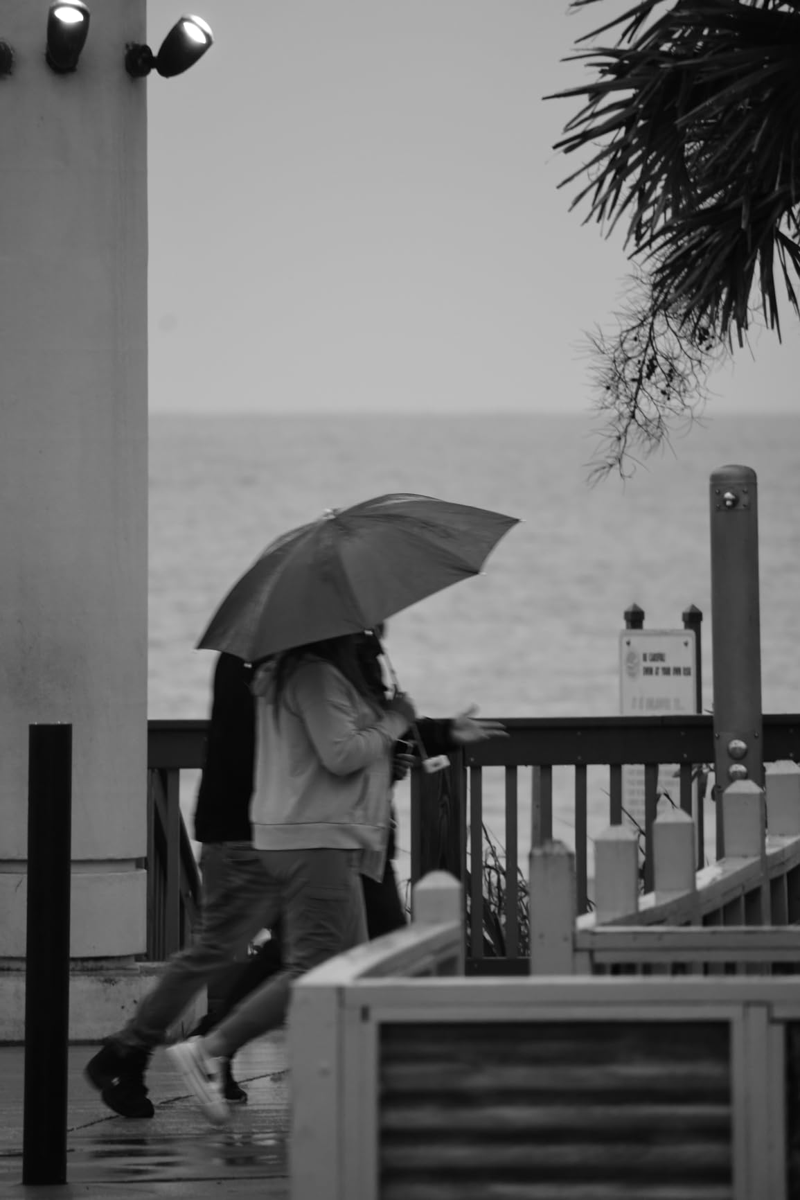 Nikon D7500 DX-Format Digital SLR w/AF-P DX NIKKOR 18-55mm f/3.5-5.6G VR Lens + AF-P DX 70-300mm f/4.5-6.3G ed Lens + 64GB Memory Card, TriPod, Flash, 3pc Filter Kit, Case, More, Black - Customer Photo 2