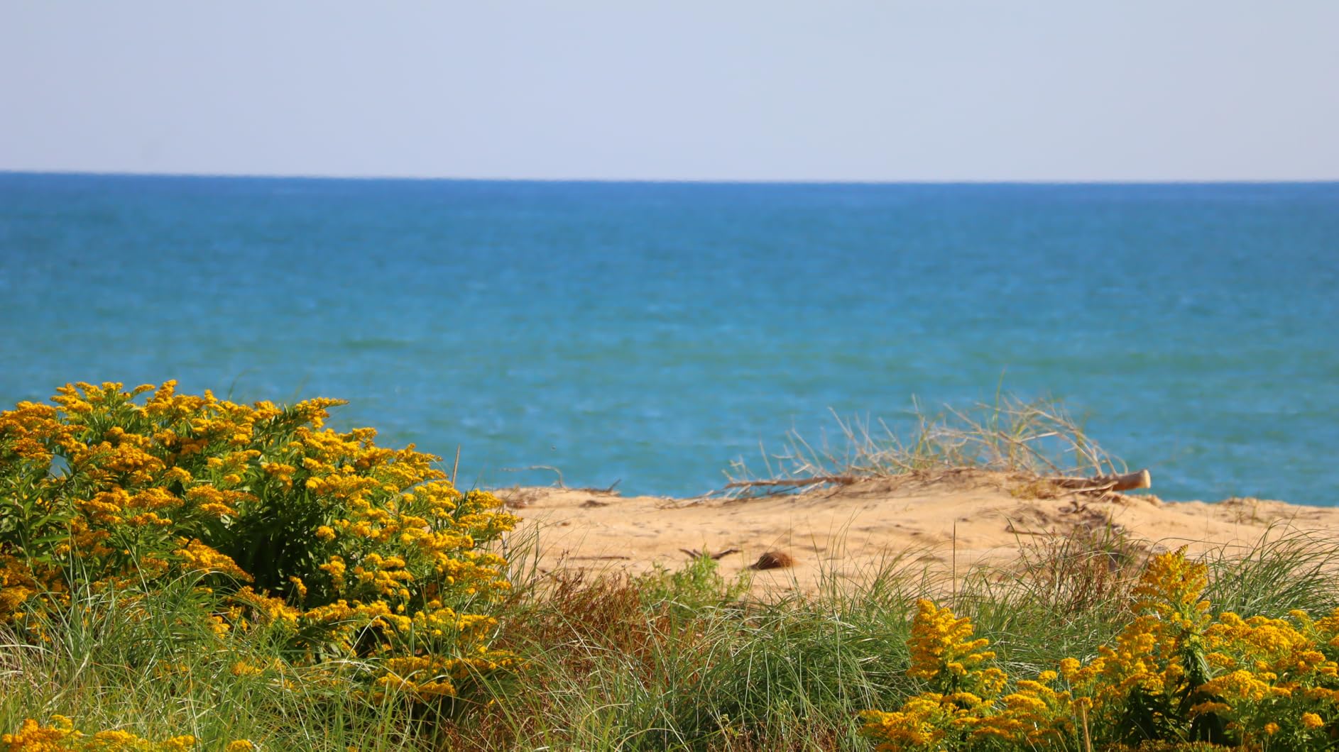 Canon EOS R100 Mirrorless Camera Body, APS‑C Sensor, 24.1 Megapixels, 4K Video (24p), Dual Pixel CMOS AF, 6.5 fps Burst Shooting, Lightweight Vlogging Camera for Entry-Level Creators, Black - Customer Photo 2