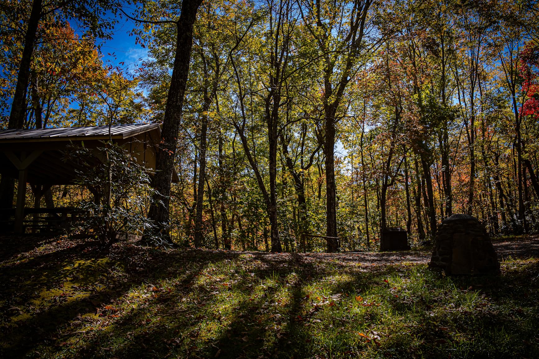 Canon RF28mm F2.8 STM Lens, RF Mount, Wide-Angle, for Full-Frame Cameras - Customer Photo 1