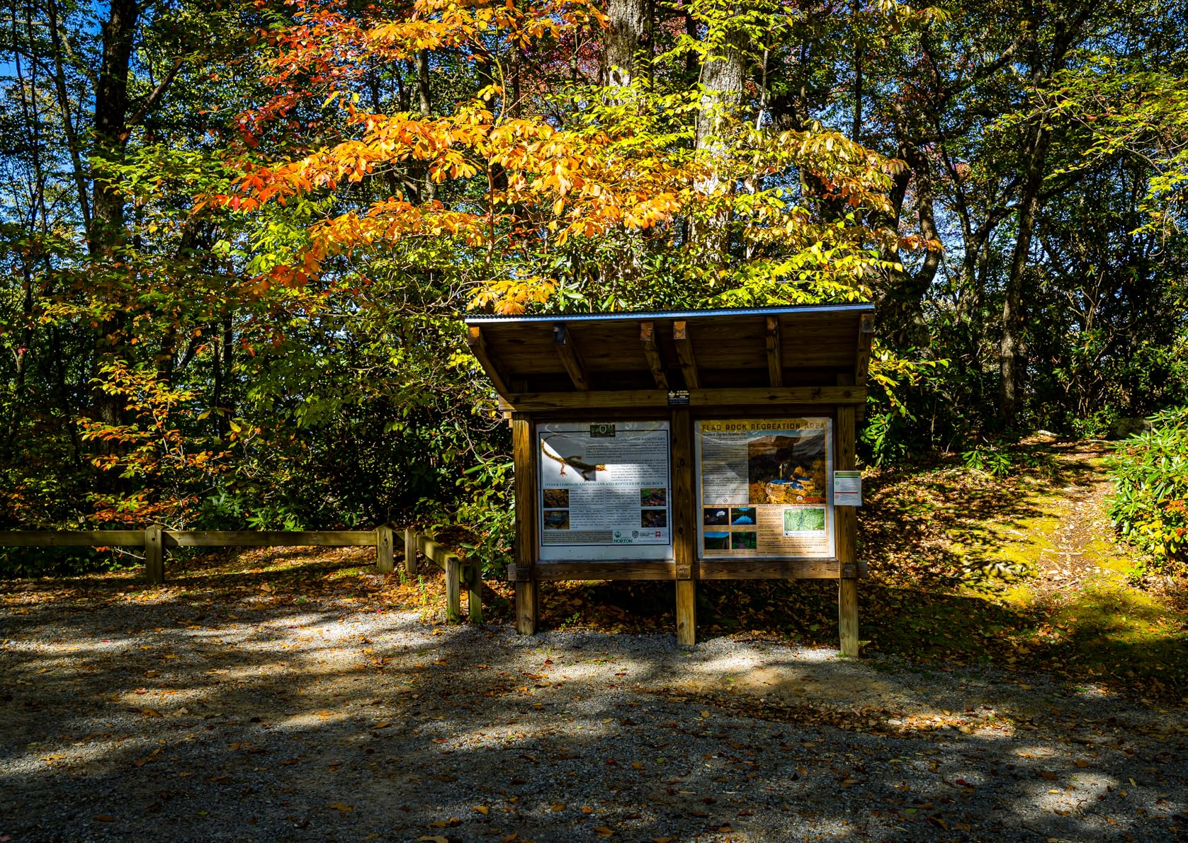 Canon RF28mm F2.8 STM Lens, RF Mount, Wide-Angle, for Full-Frame Cameras - Customer Photo 2