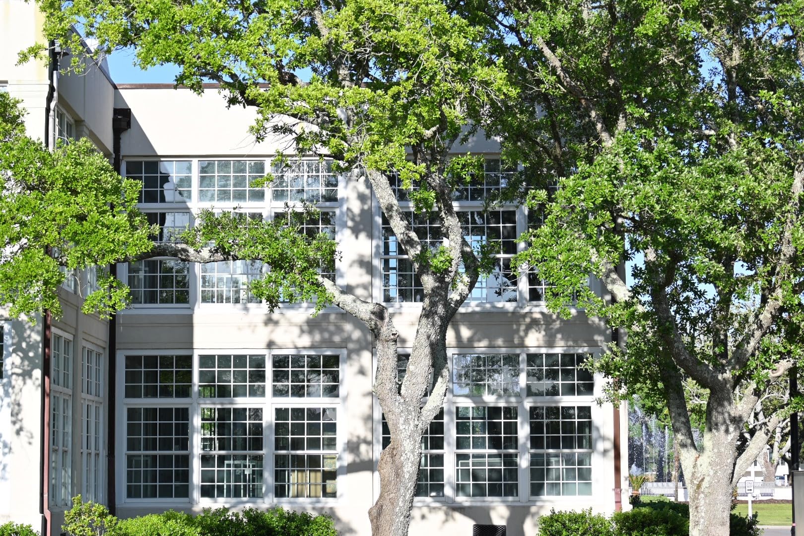 NIKKOR Z DX 24mm f/1.7 | Extra-large aperture wide-angle prime lens for APS-C size/DX format Z series mirrorless cameras | Nikon USA Model, Black - Customer Photo 1