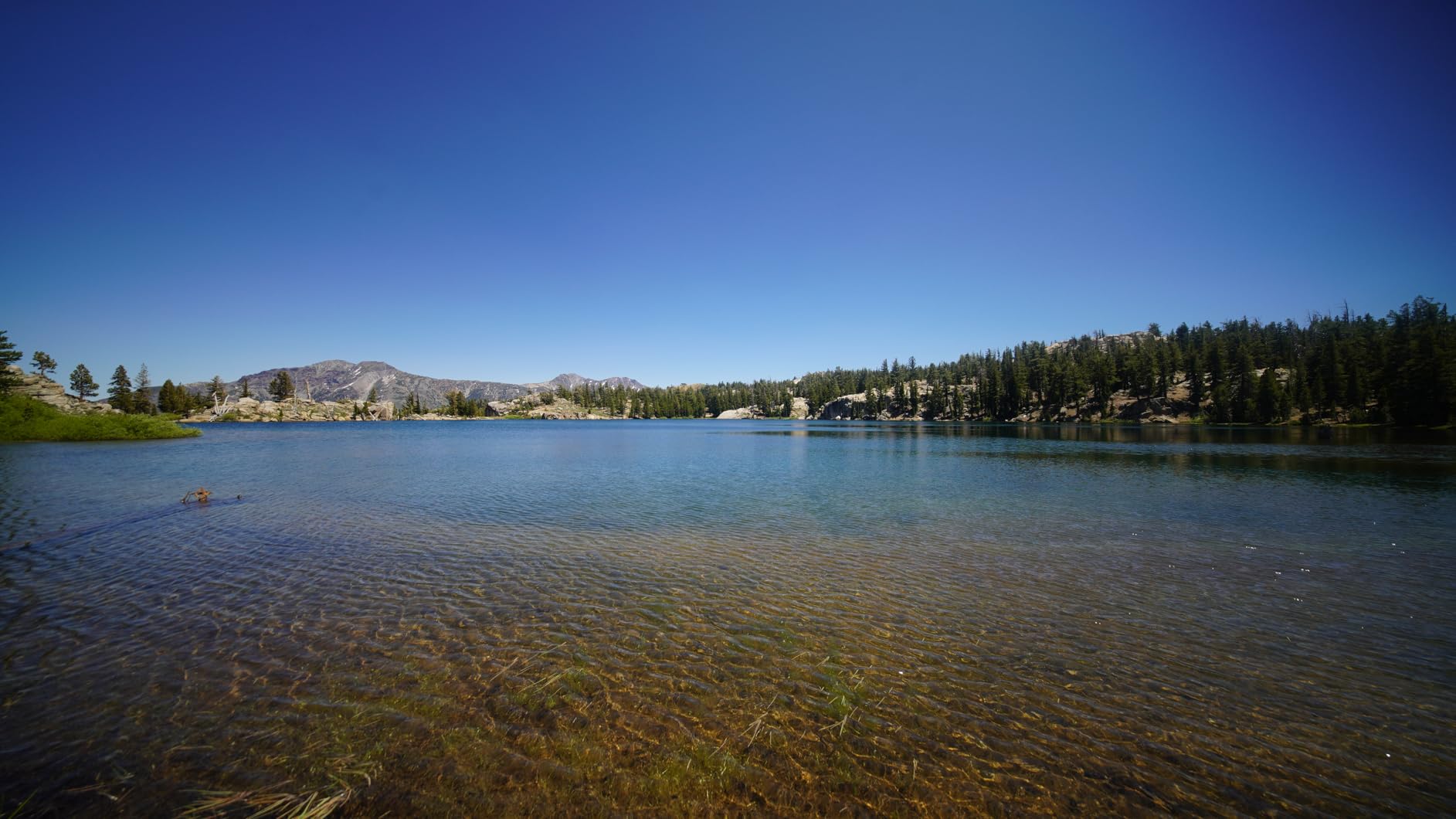 Brightin Star 11mm F2.8 RF Mount Fisheye Lens for Canon, Full Frame 180° Ultra Wide Angle Manual Focus Mirrorless Camera Lens for EOS R5 R6 R RP R7 R10 R3 R6 Mark II - Customer Photo 2