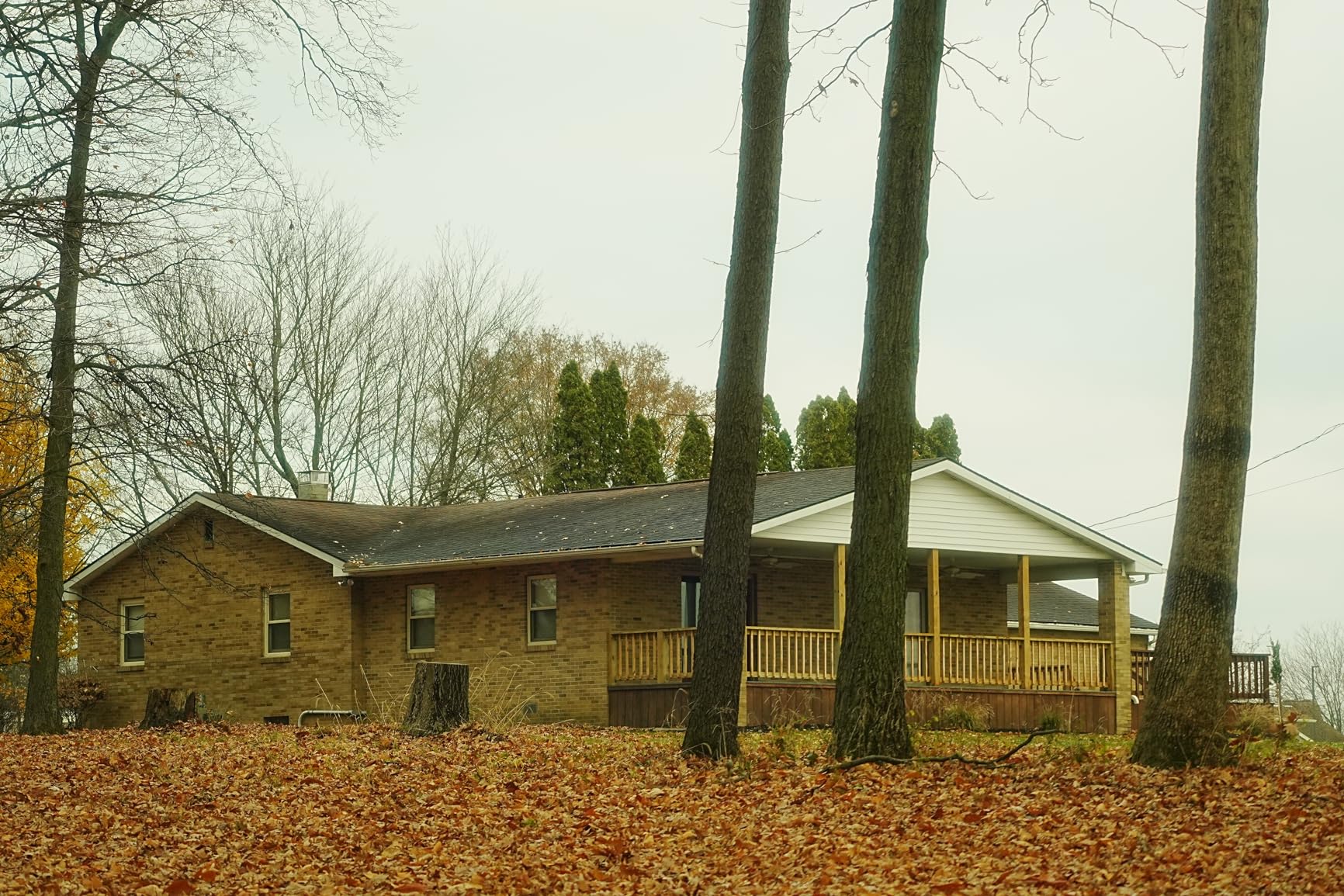 Sony a6700 Mirrorless Camera with 16-50mm Lens, 128GB Extreme Speed Memory,.43 Wide Angle & 2X Lenses, Case,Tripod, Filters, Hood, Grip,Spare Battery & Charger,Editing Software Kit -Deluxe Bundle - Customer Photo 3