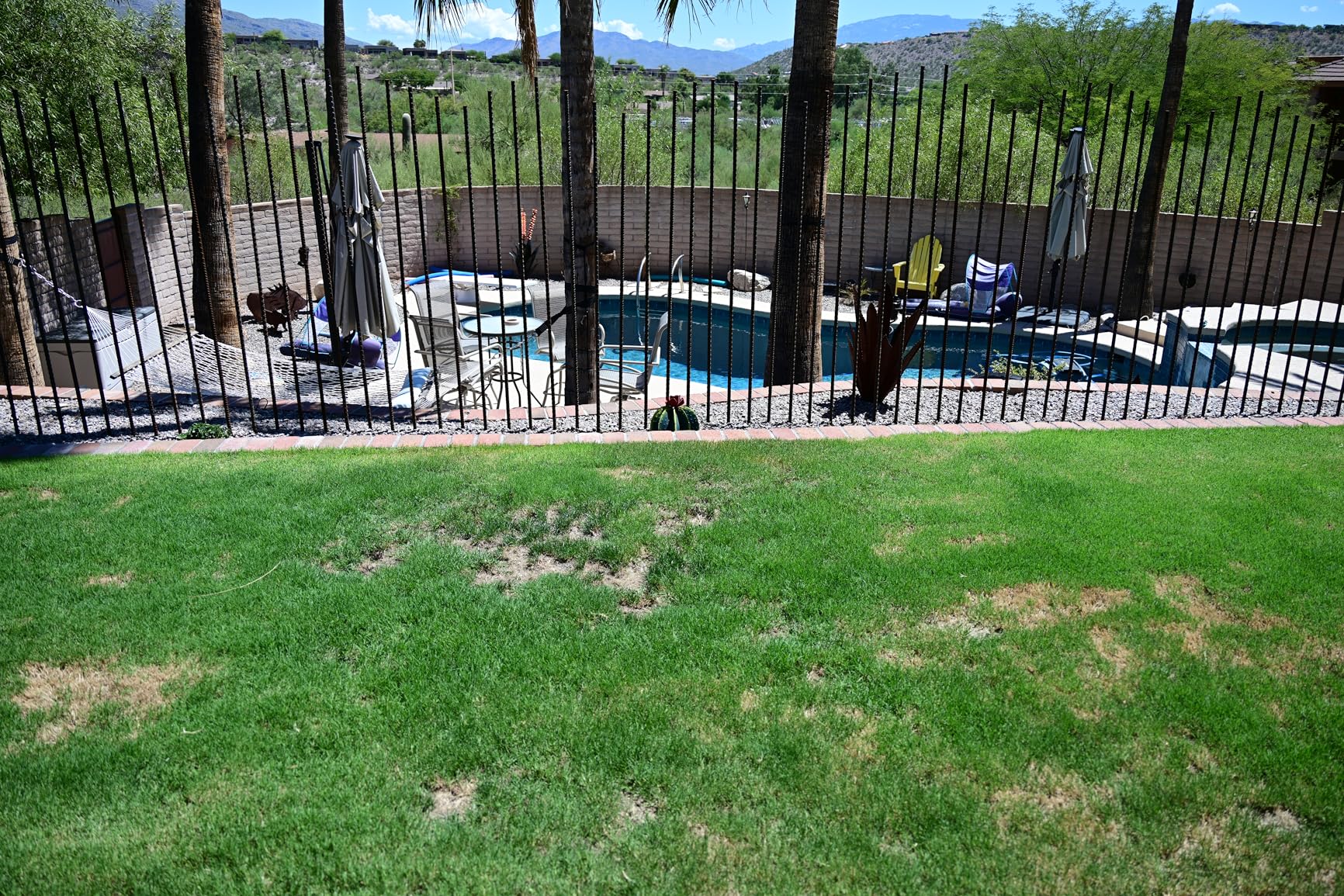 NIKKOR Z 28-400mm f/4-8 VR Mirrorless Lens - Customer Photo 2