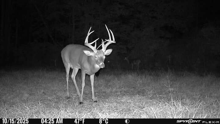 SPYPOINT Flex-M Twin Pack Cellular Trail Cameras - No WiFi Needed, GPS, Night Vision, Dual-Sim LTE, IP65 Water-Resistant, 28MP Photos, 720p Videos + Sound (2 Pack) customer photo 2