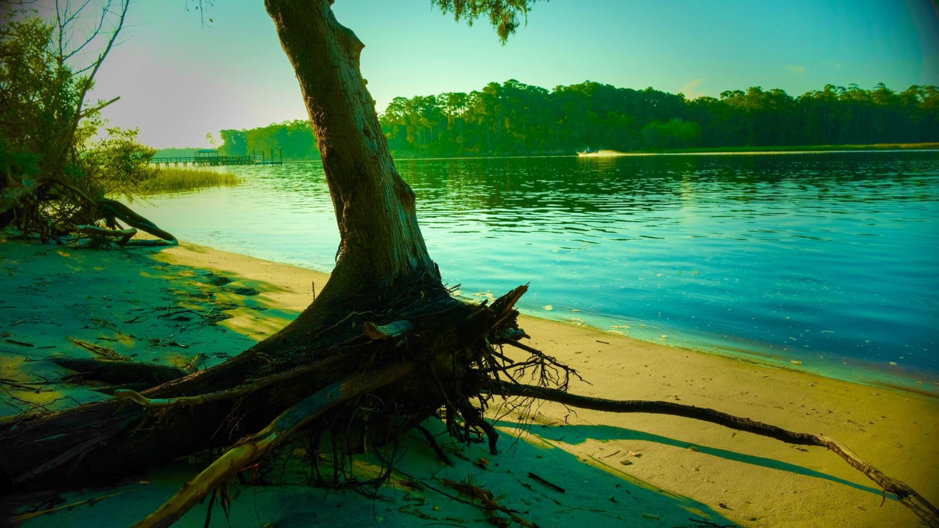 Fujifilm Fujinon XF16-50mmF2.8-4.8 R LM WR - Customer Photo 1