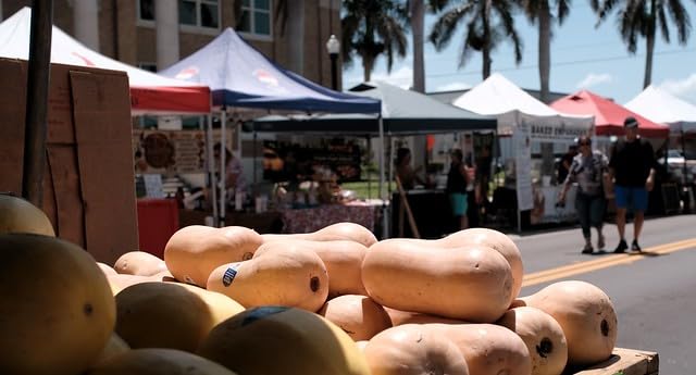 Fujifilm X-T50 Mirrorless Digital Camera XC15-45mmF3.5-5.6 OIS PZ Lens Kit - Silver - Customer Photo 2