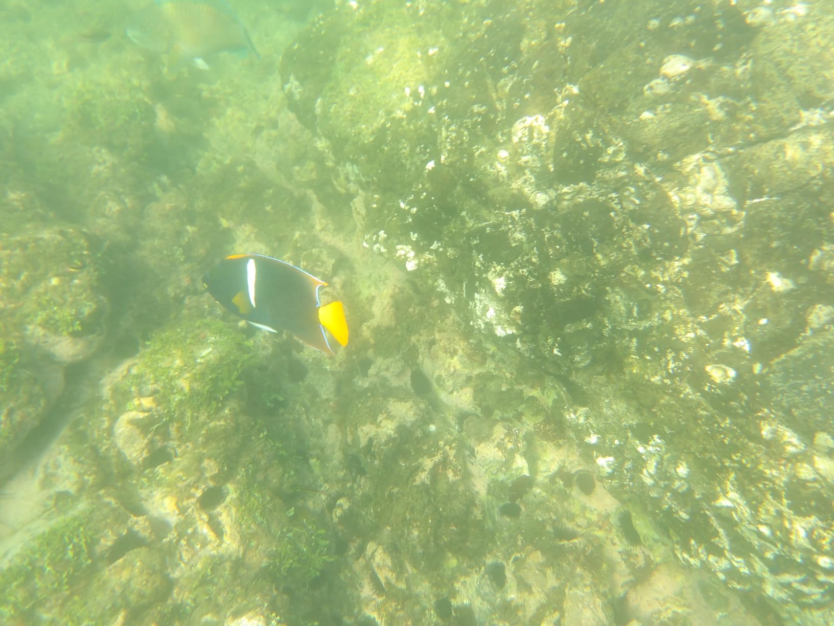 PENTAX WG-1000 Olive Waterproof Digital Compact Camera, Designed for Casual Outdoor and Underwater Photography, Waterproof to a Depth of 15 Meters, for up to one Hour of Continuous Operation - Customer Photo 2