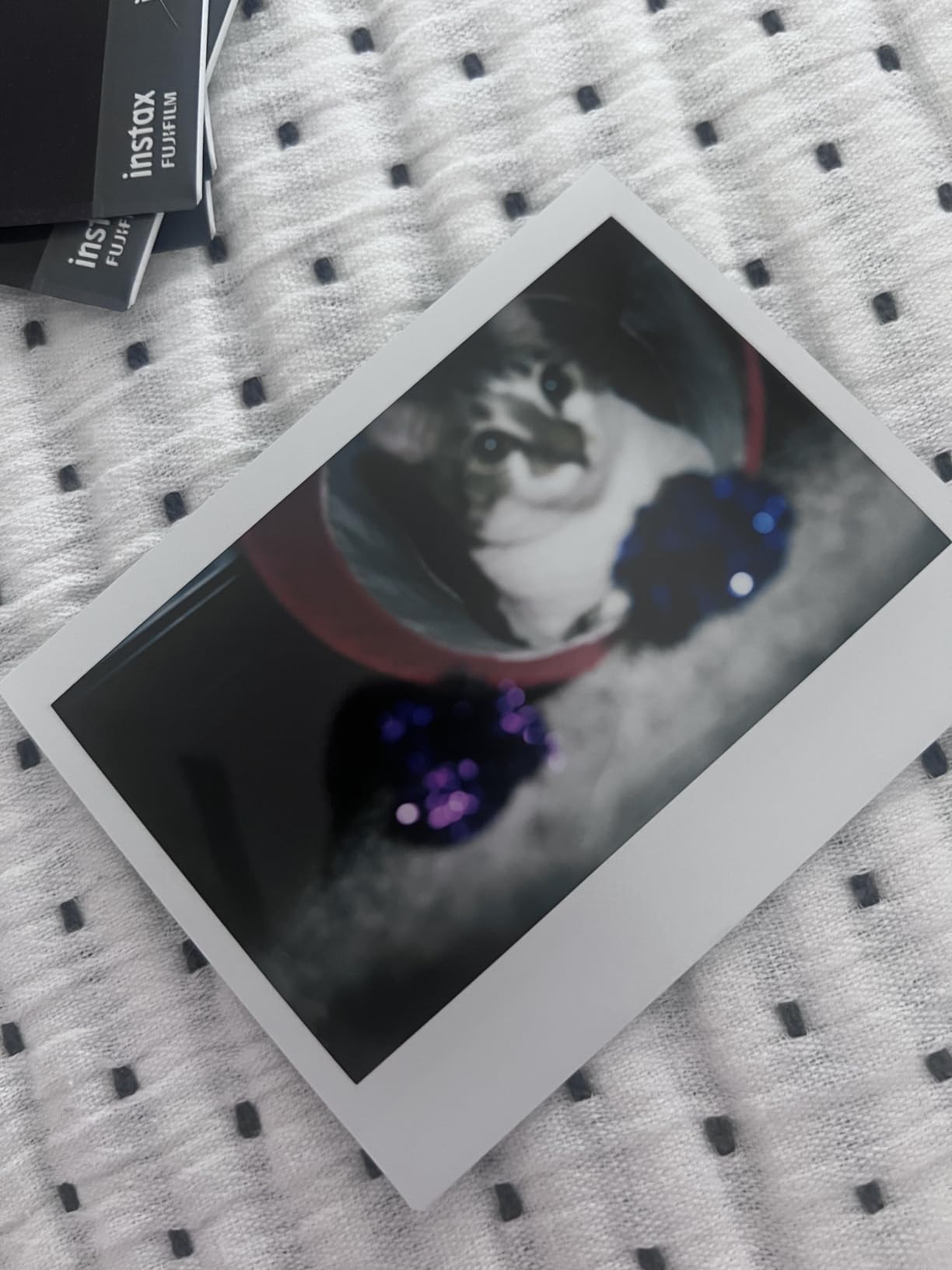 INSTAX Wide 400 Instant Camera - Sage Green customer photo 1