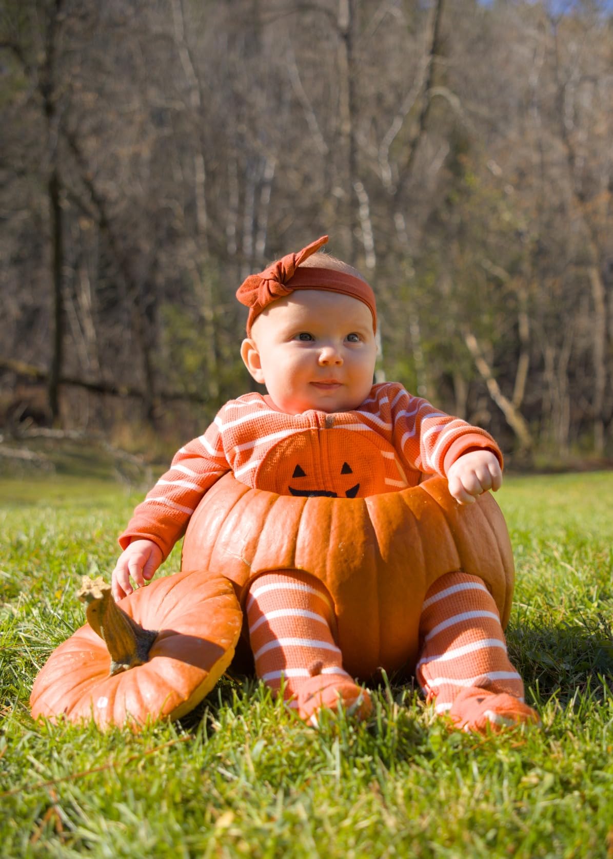 SIGMA 18-50mm F2.8 DC DN Contemporary Lens for Canon RF Mount Mirrorless Cameras - Customer Photo 2