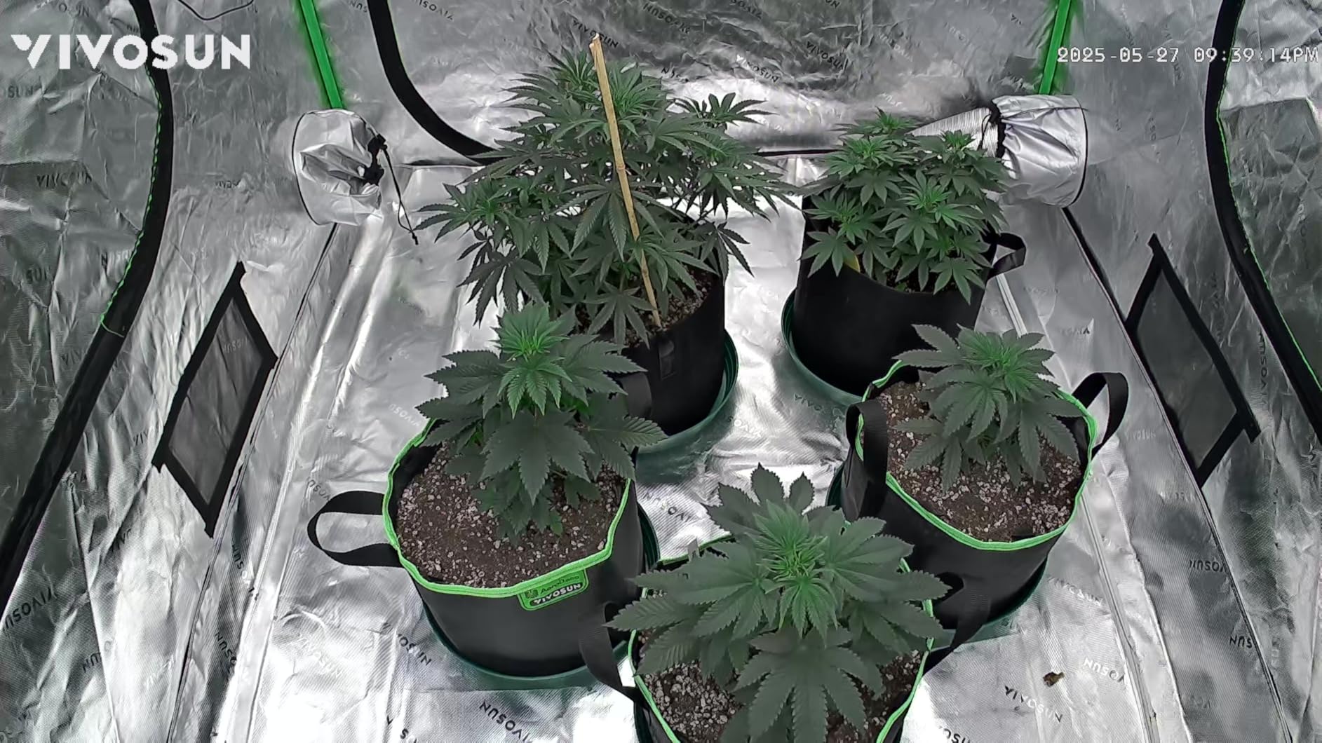 VIVOSUN GrowCam C4, 2K QHD WiFi Smart Camera for Grow Tent & VGrow Smart Grow Box, Supports 2.4GHz WiFi (Not 5GHz/6GHz), Timelapse, Night Vision, SD Card Storage, 2-Way Audio, App Control customer photo 2