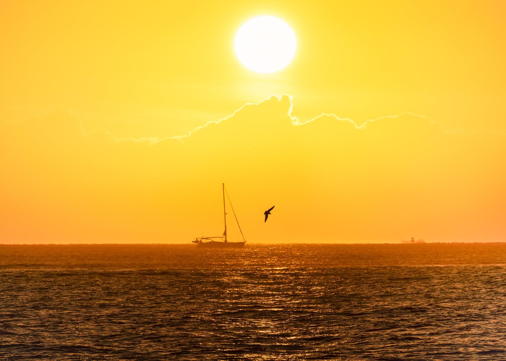 50-400mm F/4.5-6.3 Di IIIVXD Lens for Nikon Z - Customer Photo 2