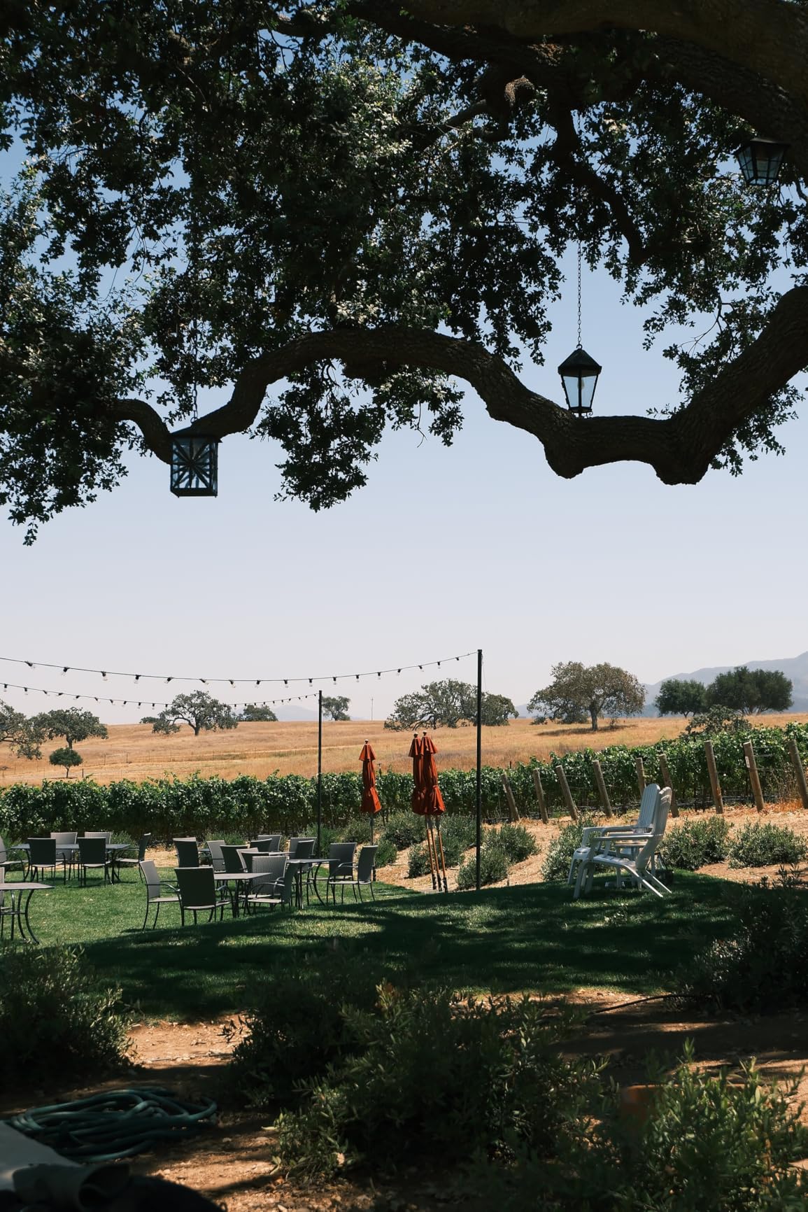 Fujifilm X-M5 Mirrorless Digital Camera XC15-45mmF3.5-5.6 OIS PZ Lens Kit - Black Customer Review Fujifilm X-M5 Mirrorless Digital Camera XC15-45mmF3.5-5.6 OIS PZ Lens Kit - Black - Customer Photo 2