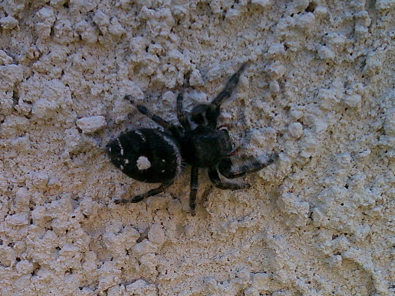 4K Digital Camera for Photography and Video, Autofocus 48MP Vlogging Camera for YouTube with 3'' 180°Flip Screen 16X Zoom Compact Travel Cameras with SD Card, 2 Batteries, Anti-Shake, Flash (Black) - Customer Photo 2