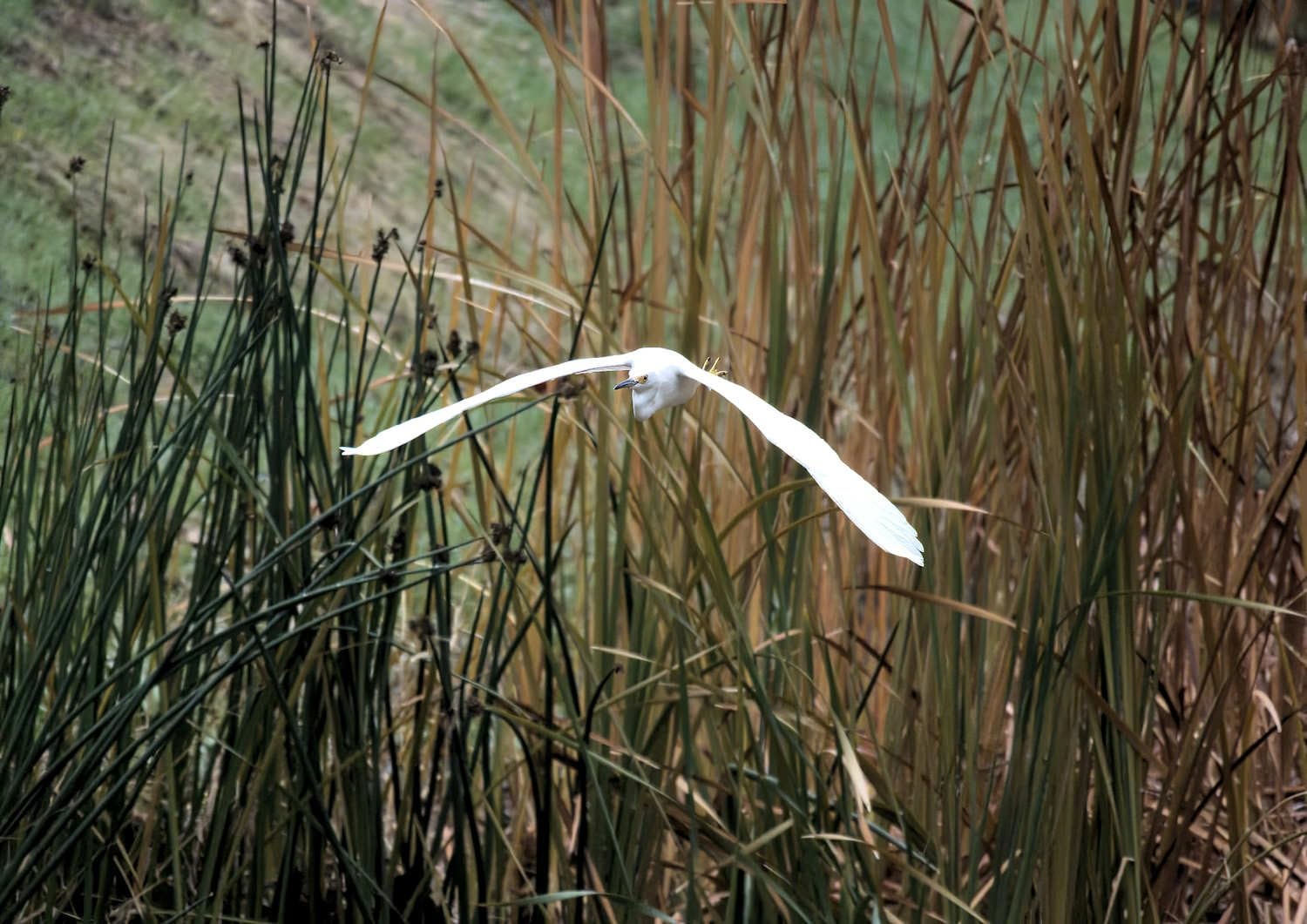 Nikon Z50 II with Two Lenses | Compact mirrorless Stills/Video Camera with Easy Color presets and Wireless Photo Sharing | Nikon USA Model Customer Review Nikon Z50 II with Two Lenses | Compact mirrorless Stills/Video Camera with Easy Color presets and Wireless Photo Sharing | Nikon USA Model - Customer Photo 3