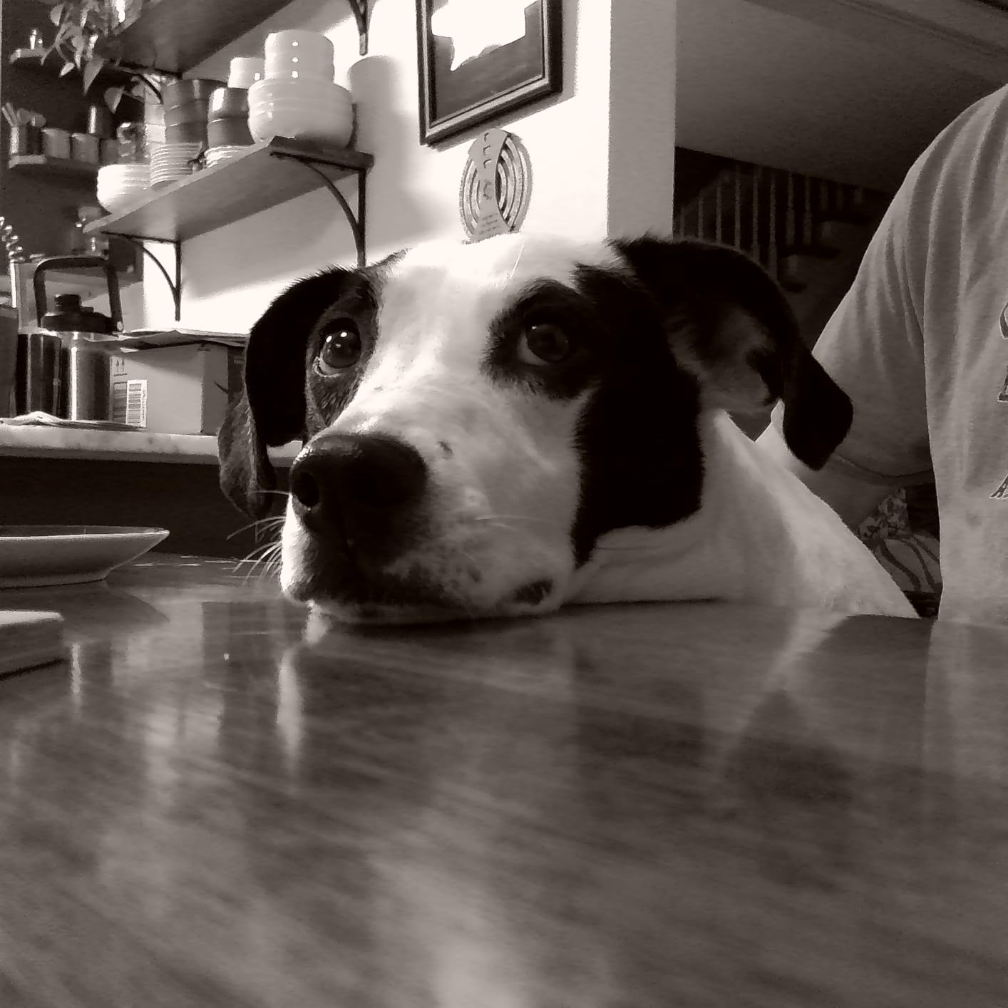 CHUZHAO Vintage Mini Digital Camera, Portable TLR Style Retro Point and Shoot Compact Small Pocket 1080P FHD Video 12MP Autofocus Vlogging Camera with 16 GB Card for Beginners Teens Adults Black - Customer Photo 1