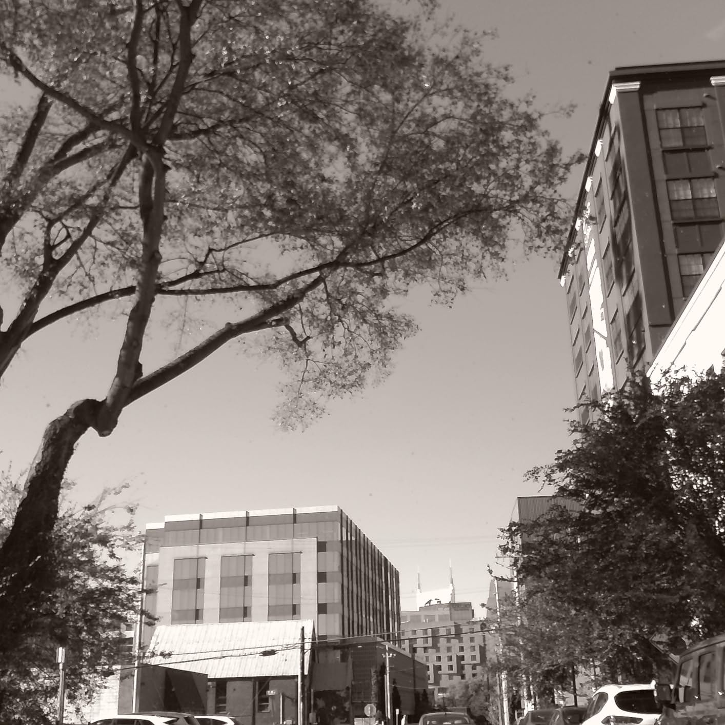 CHUZHAO Vintage Mini Digital Camera, Portable TLR Style Retro Point and Shoot Compact Small Pocket 1080P FHD Video 12MP Autofocus Vlogging Camera with 16 GB Card for Beginners Teens Adults Black - Customer Photo 2