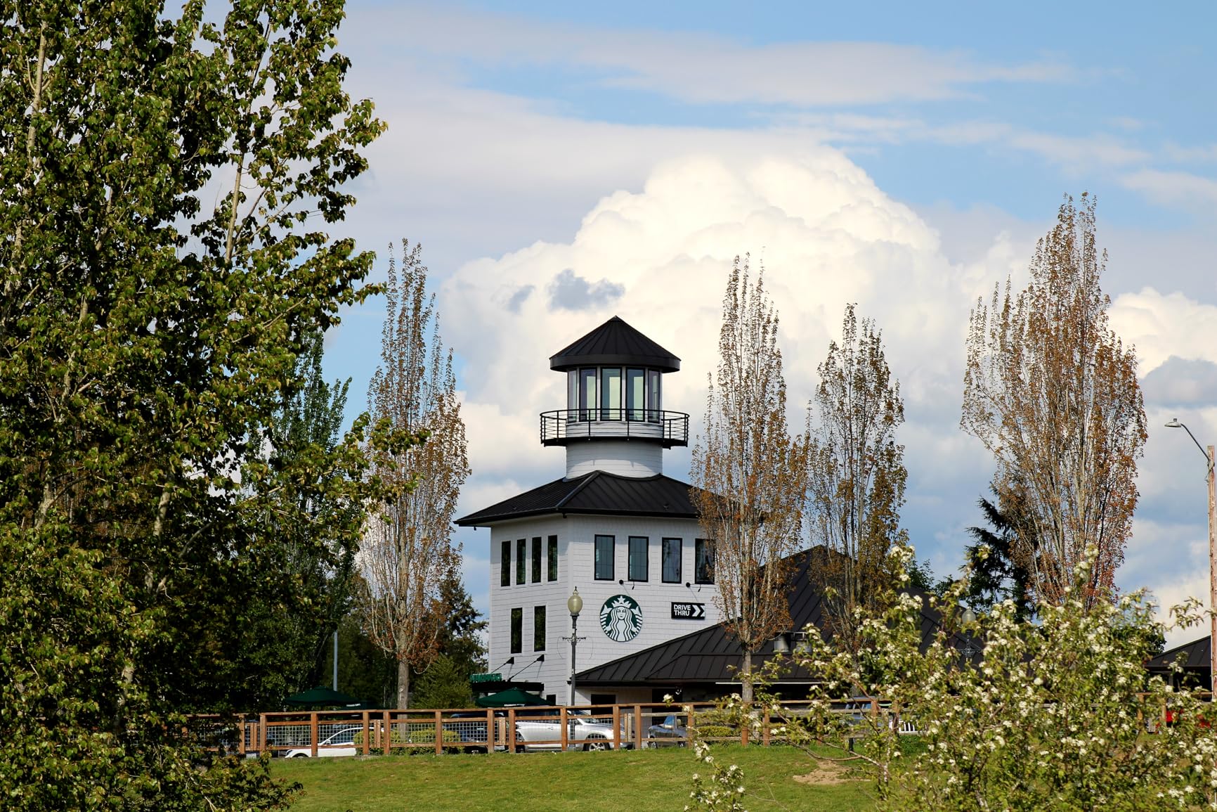 Canon EOS Rebel T7 DSLR Camera with 18-55mm & 75-300mm Lens Bundle with Extra Canon Battery + 2X 64GB Memory Cards + Accessory Kit Including Bag, Flash, Aux Lenses, Software & More - Customer Photo 1