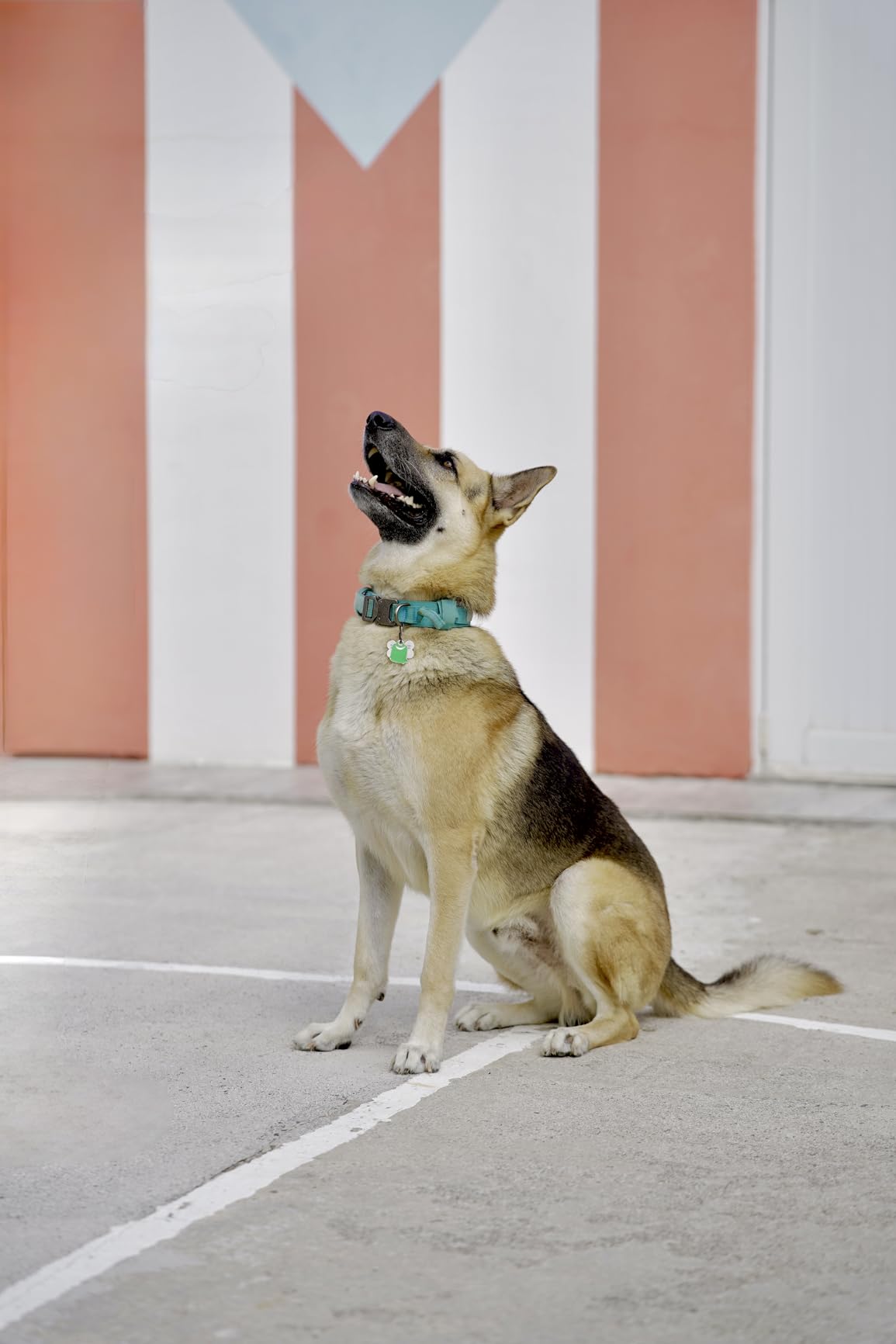 AF 85mm F/1.8 Lens for Nikon Z - STM Autofocus, HFT-X Coating, Full Metal Body 477g, Compatible with APS-C Z50/Z30/Zfc and Full Frame Z9/Z8/Z7/Z6/Z5 Series - Customer Photo 1