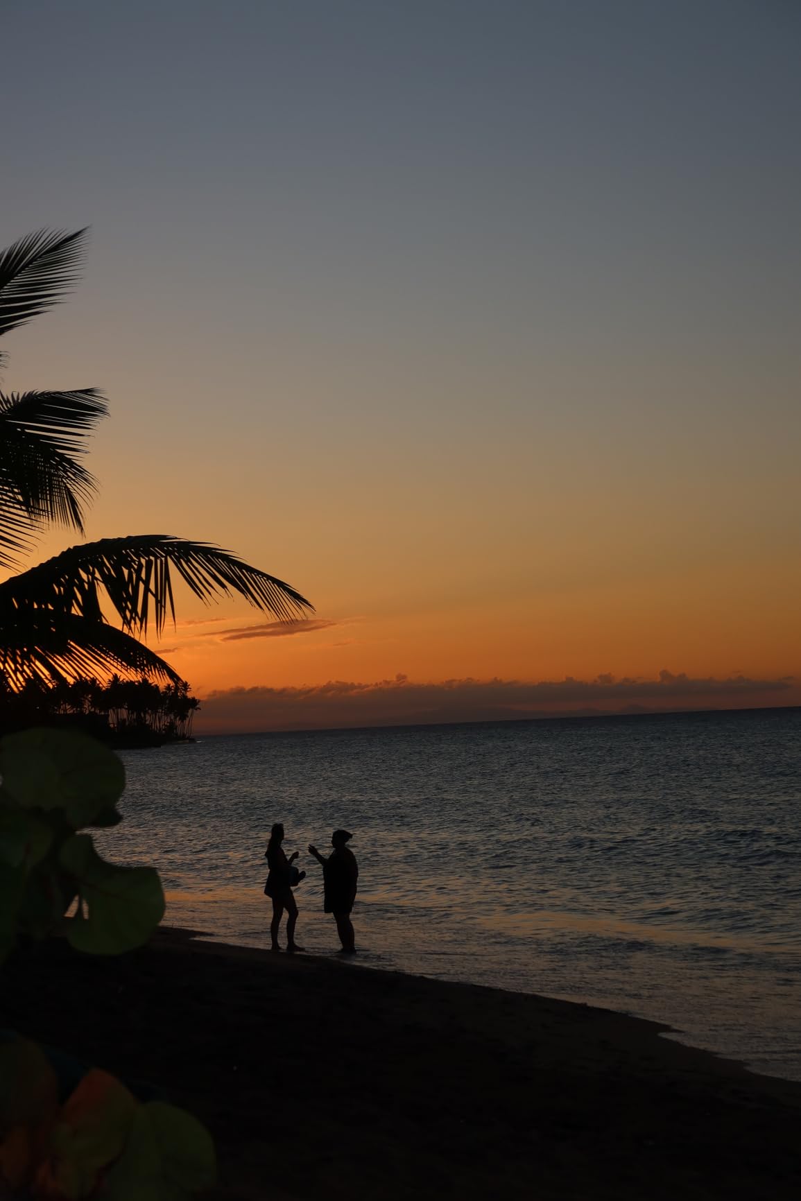 Canon PowerShot G7 X Mark III Digital Camera | 20.1MP 1-Inch Sensor, 4.2X Optical Zoom, 4K UHD Video, Wi-Fi & Bluetooth | Vlogging & Travel Camera with Bag and 64GB Card - Customer Photo 1