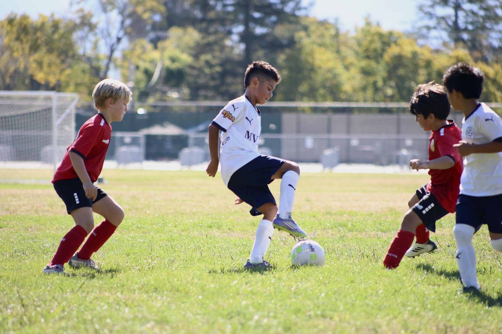 Canon RF75-300mm F4-5.6 Customer Review Canon RF75-300mm F4-5.6 - Customer Photo 1