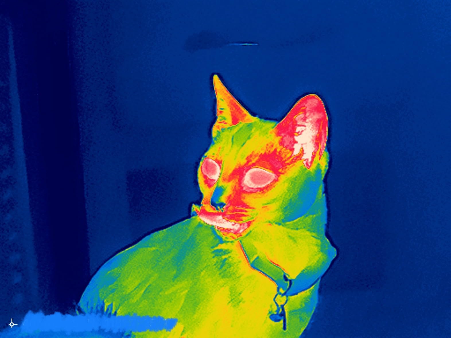 Thermal Master T2 Pro iOS Thermal Monocular for iPhone Lightning, 787 Yards Hunting Night Vision Scope with 13mm Lens, Tactical Handle, Scope Mount, Infrared Camera for Outdoor Detecting Deer - Customer Photo 3