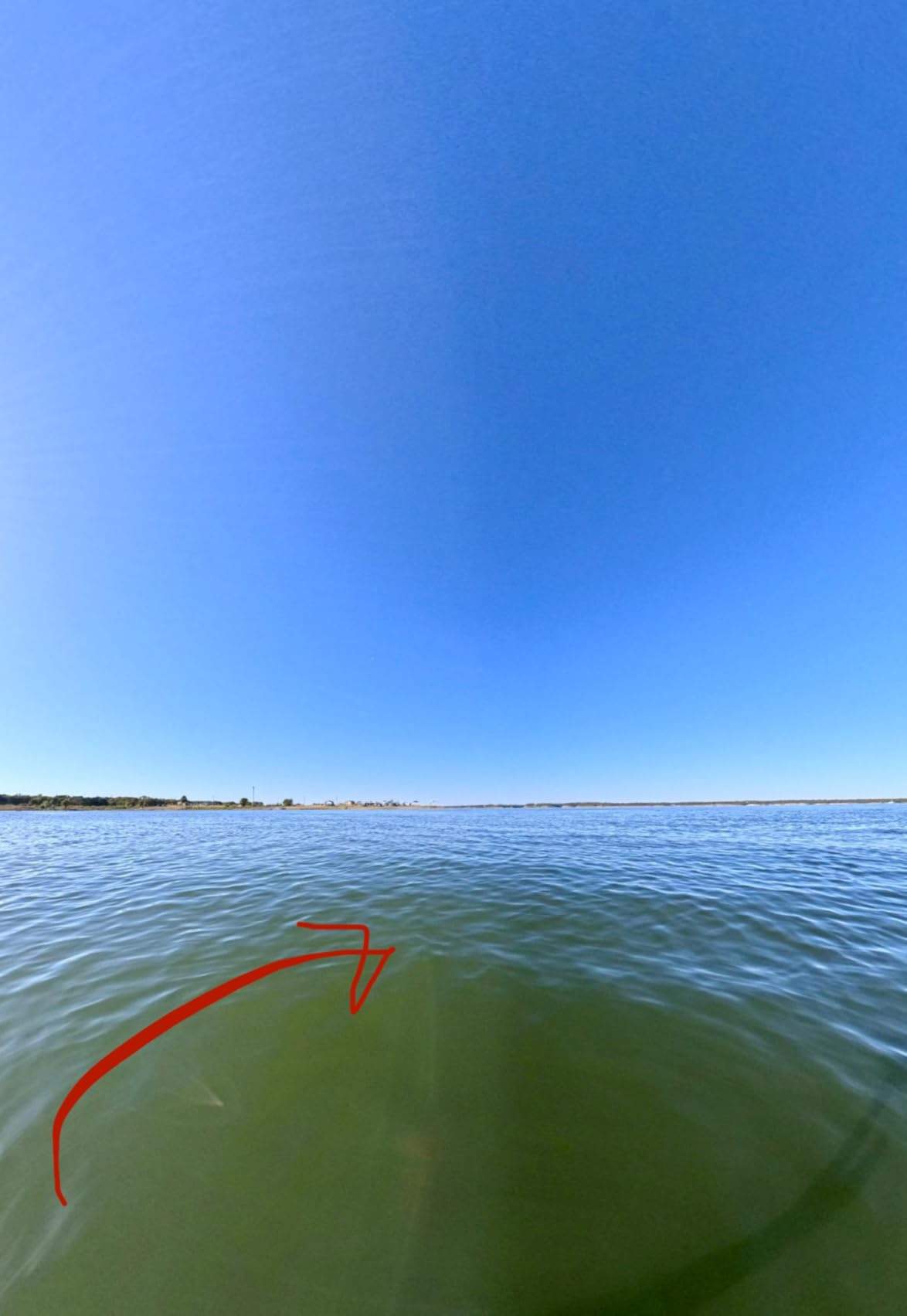 GoPro MAX2 - Waterproof 360 + Traditional Action Camera with Touch Screen, Spherical 8K Video, 29MP 360 Photos, Easy Replaceable Lenses, HyperSmooth Stabilization, 6 Microphones - Customer Photo 2