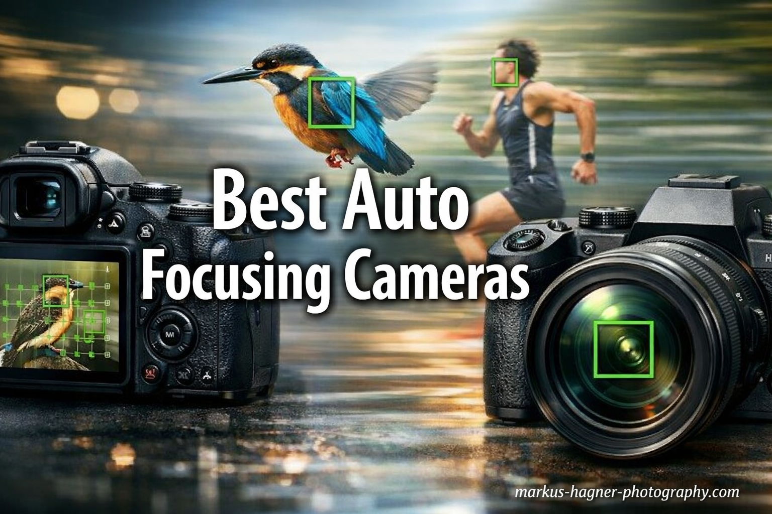 Best Auto Focusing Cameras