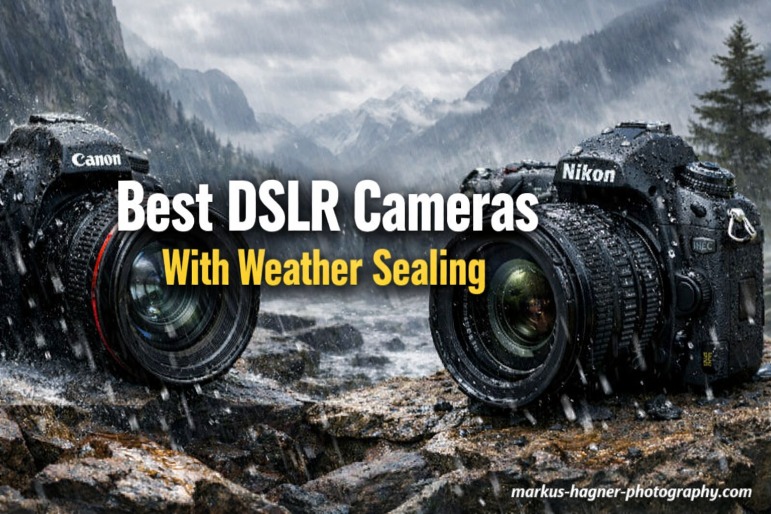 Best DSLR Cameras With Weather Sealing