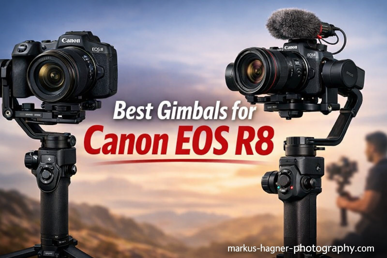 Best Gimbals for Canon EOS R8