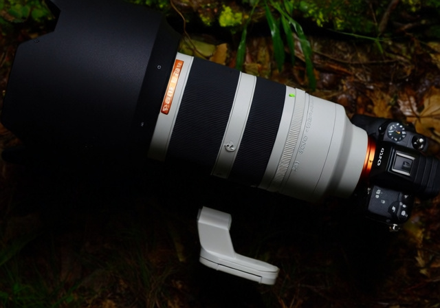 Leaked Image Of Sony Fe 400 800mm F 6 3 8 G Oss Lens - Markus Hagner Photography