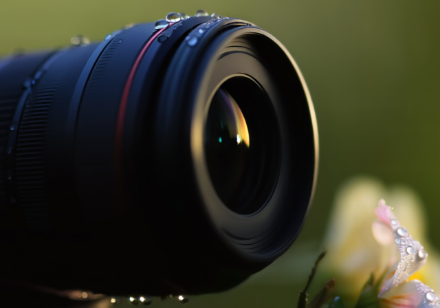 New Canon Macro Lens Coming In Early 2025 - Markus Hagner Photography