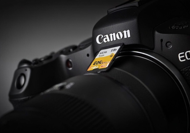 Best Memory Cards For Canon Eos R8 - Markus Hagner Photography