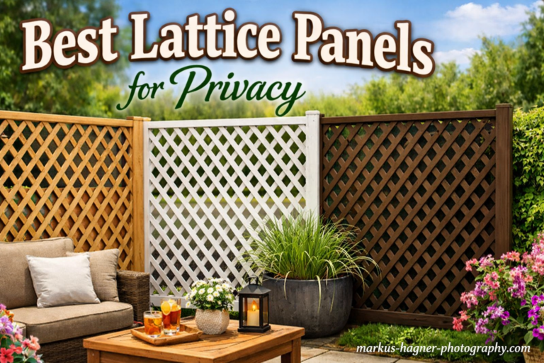 10 Best Lattice Panels for Privacy (May 2026) Tested