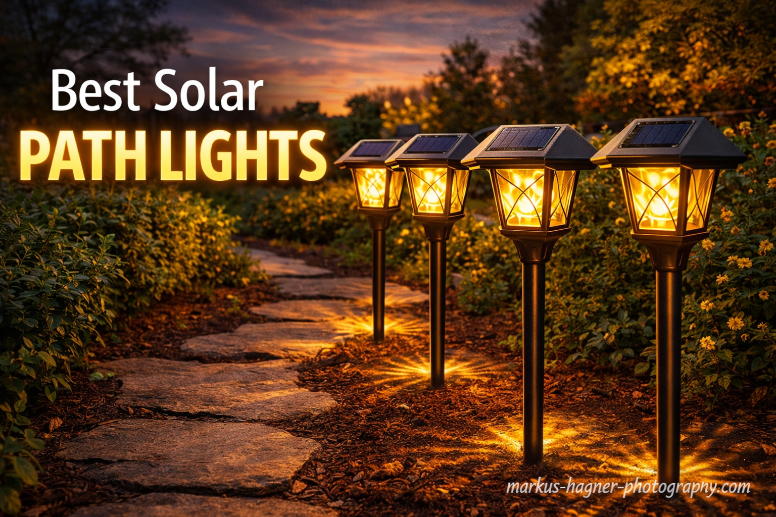 10 Best Solar Path Lights