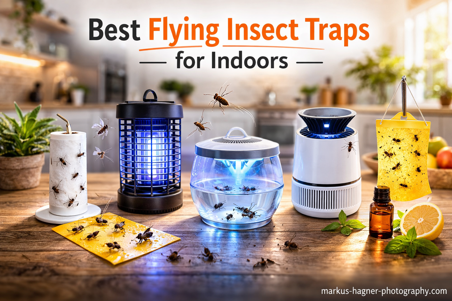 8 Best Flying Insect Traps for Indoors