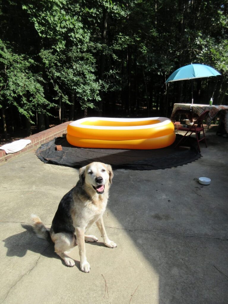 10 Best Inflatable Pools for Backyards