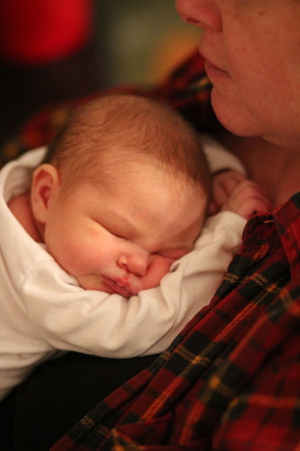 Canon EF 85mm f/1.8 USM Telephoto Lens - Customer Photo 2